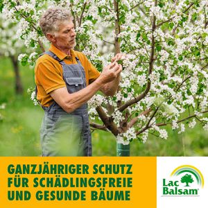 Produktbild für Leimring Etisso LacBalsam, wasserfestes Papier, zum Anbinden