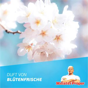 Produktbild für Badreiniger Meister-Proper Sprühen-Wischen-Fertig