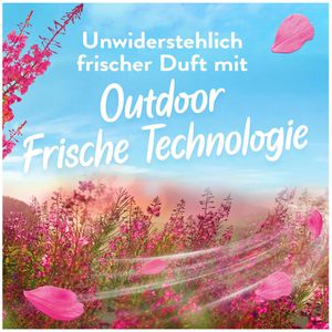 Produktbild für Weichspüler Lenor Luftfrisch Wildblumenfeld, Konzentrat