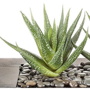 Produktbild für Kunstpflanze Creativ-green Agave x2