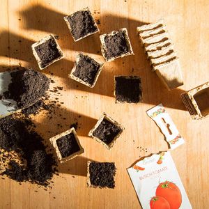 Produktbild für Anzuchttöpfe OwnGrown BEGR-300183, 120 Stück