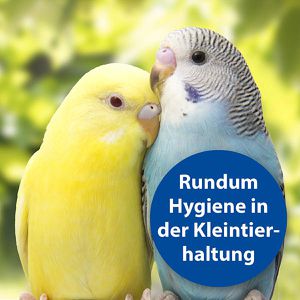 Produktbild für Allzweckreiniger Bactazol Universalreiniger