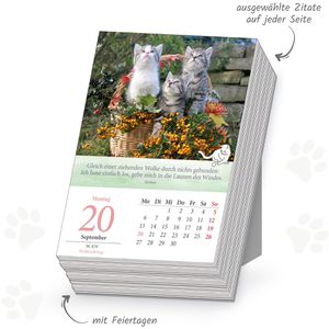 Produktbild für Abreißkalender Trötsch 2027912, Katzen, Jahr 2027