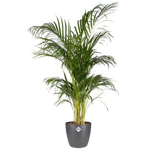 Produktbild für Übertopf elho Brussels Rund, anthrazit, Ø 14 x 13 cm