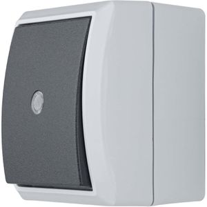 Lichtschalter REV-Ritter AquaForm, grau