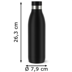 Produktbild für Trinkflasche Emsa Bludrop Color N3110900, isoliert