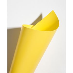 Produktbild für Faltblätter Folia 9161/0 aus Kunststoff