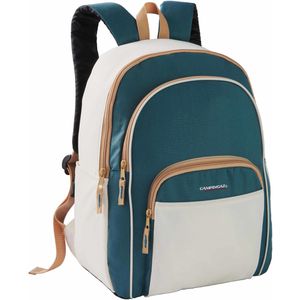 Kühltasche