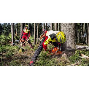 Produktbild für Forsthelm Protos Integral Forest F39, gelb-grau