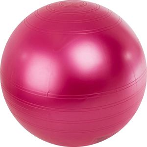 Produktbild für Gymnastikball Togu Powerball ABS