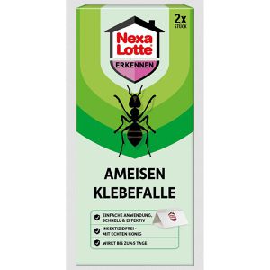 Klebefalle Nexa-Lotte Ameisen