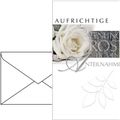 Zusatzbild Trauerkarten Böttcher-AG Anteilnahme, sortiert