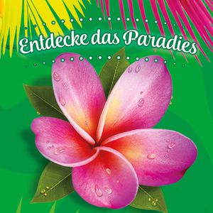 Produktbild für Weichspüler Softlan Ultra Bouquet der Düfte