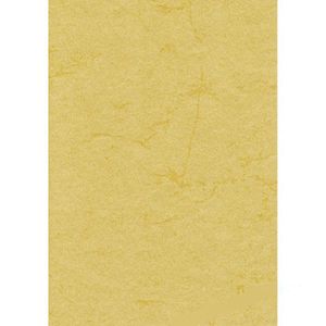 Zanders Briefpapier 88001580, chamois, A4, Elefantenhaut, 190 g/m², 50 Blatt