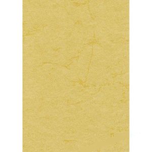 Briefpapier Römerturm 88001580, chamois, A4