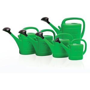 Produktbild für Gießkanne Prosperplast Spring, grün