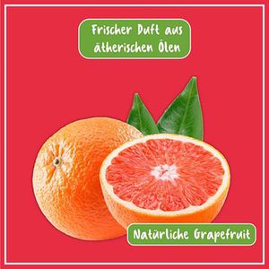 Produktbild für Allzweckreiniger Poliboy Bio
