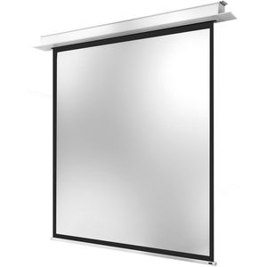 Beamer-Leinwand Celexon Motor Professional Plus