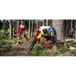 Produktbild für Forsthelm Protos Integral Arborist G16, grün-gelb