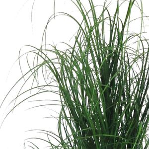 Produktbild für Kunstpflanze Creativ-green Grasbusch