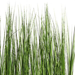 Produktbild für Kunstpflanze Creativ-green Gras Raumteiler