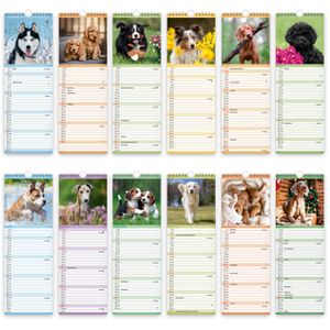 Produktbild für Streifenkalender Trötsch 2027805, Hunde