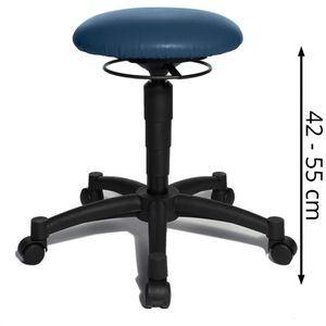 Topstar BAL10S12 Hocker Balance 10 – Anthrazit, Höhenverstellbar 42-55 Cm, Mit 3D-Gummielement, Sicherheitsrollen