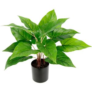 Kunstpflanze I.GE.A. Anthuriumblatt Pothos
