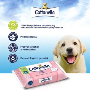 Produktbild für Feuchtes-Toilettenpapier Cottonelle Sensitiv Pflegend