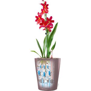 Produktbild für Übertopf Lechuza DELTINI, rot hochglanz, 14 x 18 x 14 cm