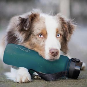 Produktbild für Trinkflasche 720DGREE uberBottle Smaragd Green