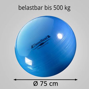 Produktbild für Gymnastikball THERABAND Standard