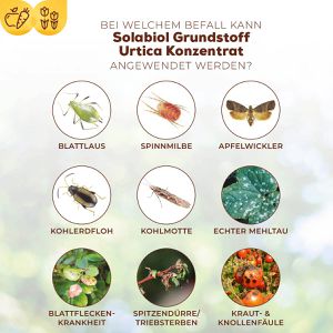 Produktbild für Grundstoff Solabiol Urtica, Konzentrat