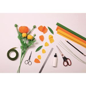 Produktbild für Krepppapier Clairefontaine 995001C farbig sortiert