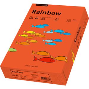 Produktbild für Kopierpapier Papyrus Rainbow 88042461