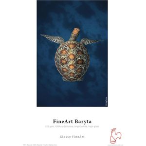 Produktbild für Inkjet-Papier Hahnemühle Baryta FineArt, A3