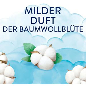 Produktbild für Wäscheparfüm Lenor light, Frische Braumwollblüte
