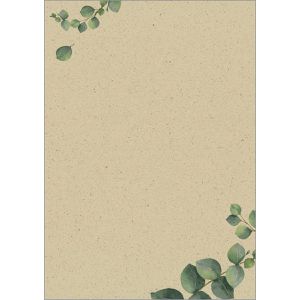 Produktbild für Briefpapier Sigel DP615, Eucalyptus, A4