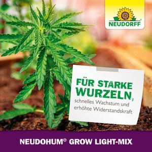 Produktbild für Blumenerde Neudorff NeudoHum Grow Light-Mix, Bio