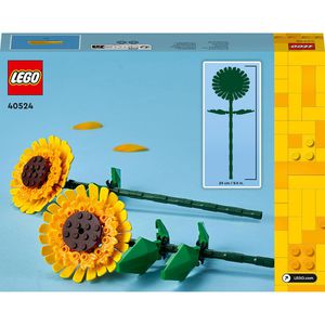 Produktbild für Klemmbausteine LEGO Botanicals 40524, ab 8 Jahre