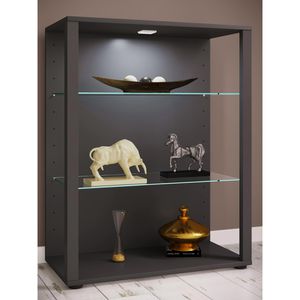Produktbild für Glasvitrine VCM Glasol L, stehend