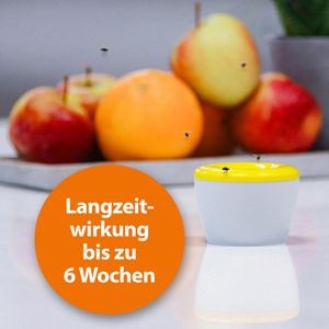 Produktbild für Fruchtfliegenfalle ARDAP 077705