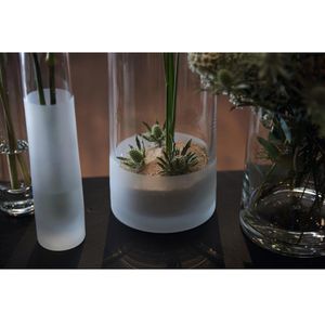 Produktbild für Vase Leonardo 018629 Novara, Glas satiniert