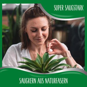 Produktbild für Slipeinlagen Cosmea Bio Extra Lang