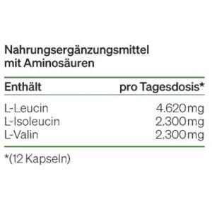 Produktbild für Aminosäuren natural-elements BCAA, 360 Kapseln