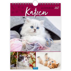 Produktbild für Bildkalender Trötsch 2027705, Katzen, Jahr 2027