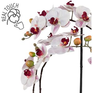 Produktbild für Kunstblume Creativ-green Orchidee, Phalaenopsis
