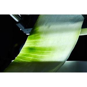 Produktbild für Gemüseschneider Lurch Catto 00200550