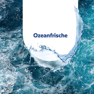 Produktbild für Allzweckreiniger Sagrotan Bodenreiniger, Oceanfresh