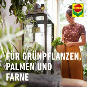 Produktbild für Blumenerde Compo SANA Grünpflanzen- und Palmenerde